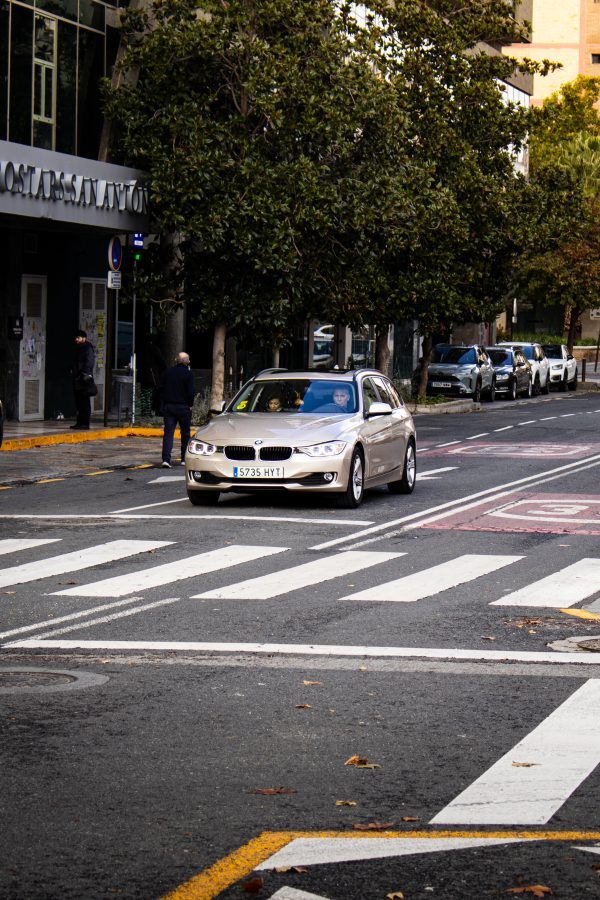 Pack de fotos 16/11/2025