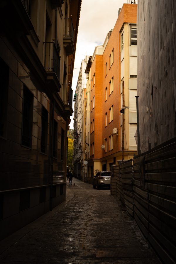 Pack de fotos 16/11/2025