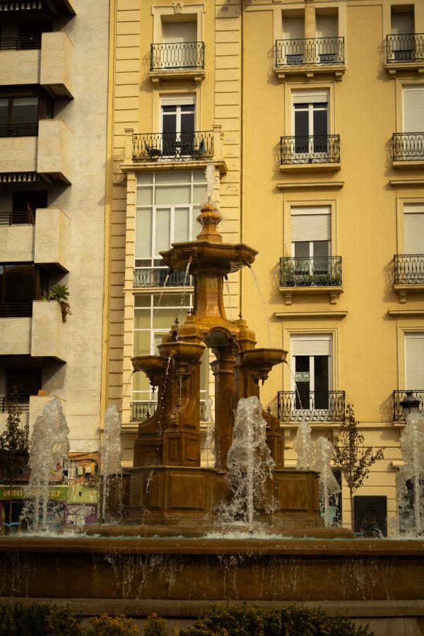 Pack de fotos 16/11/2025