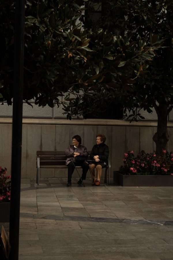 Pack de fotos 16/11/2025