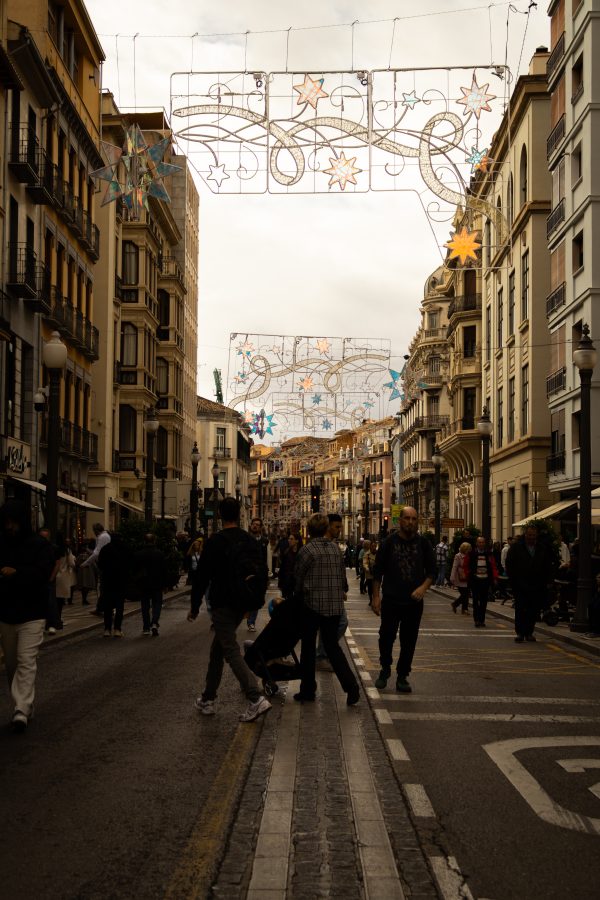 Pack de fotos 16/11/2025