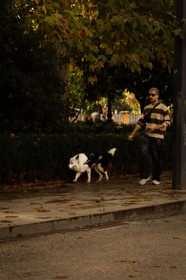 IMG_0440 Pack Presets