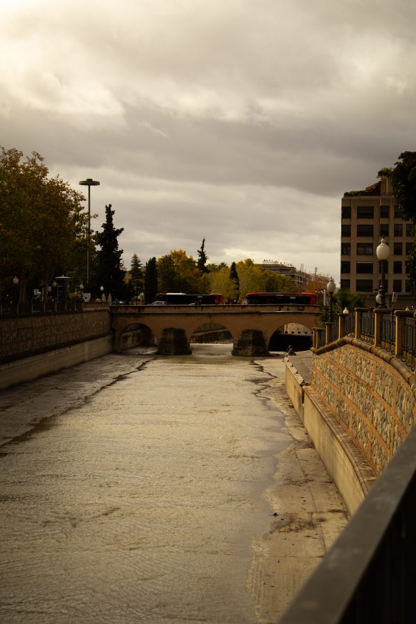 Pack de fotos 16/11/2025