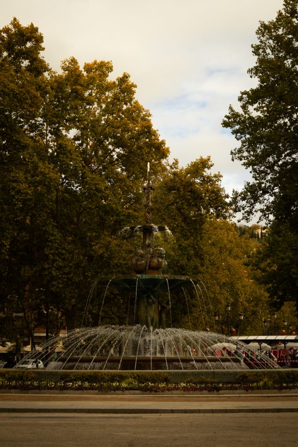 Pack de fotos 16/11/2025