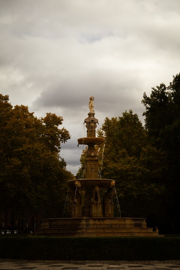 Pack de fotos 16/11/2025