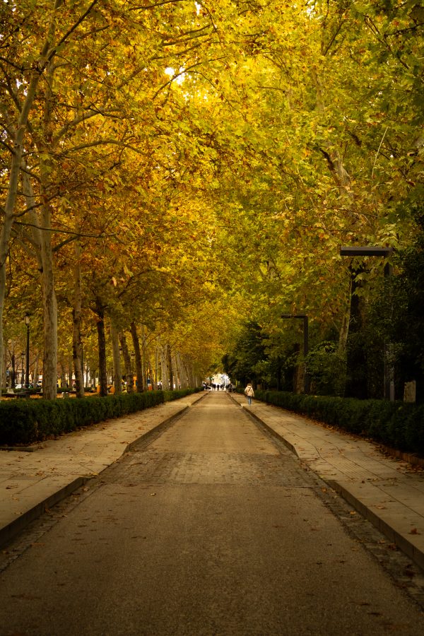 Pack de fotos 16/11/2025