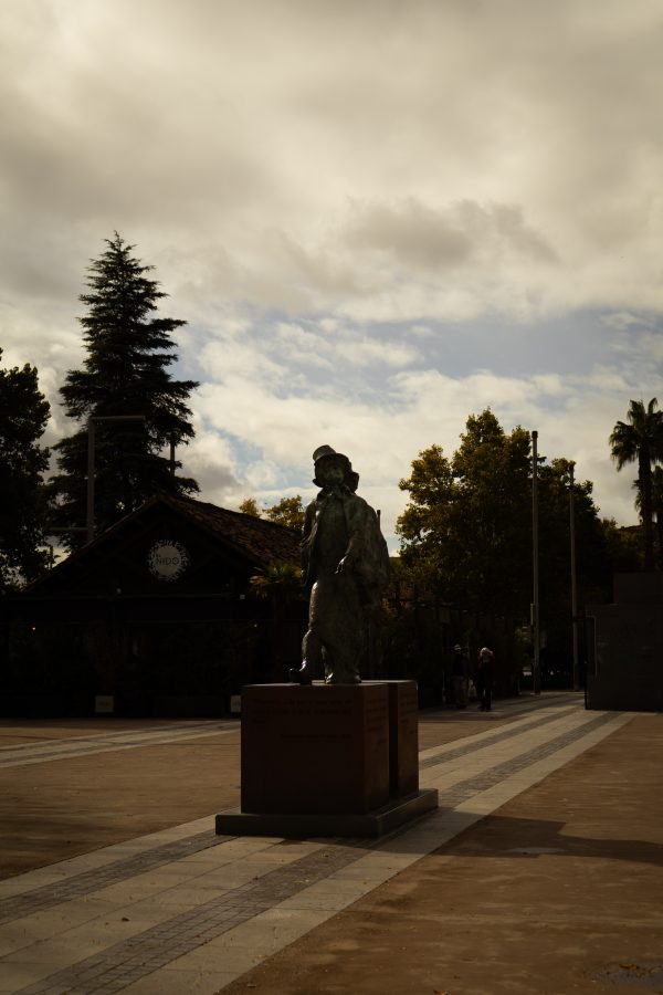 Pack de fotos 16/11/2025